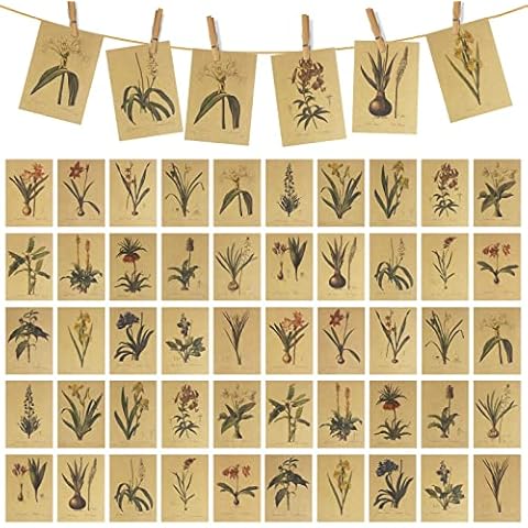 Tarjetas postales vintage de flores con caja Cover