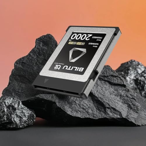 CFexpress B-Type Carte mémoire 256 Go avec vitesse de lecture jusqu'à 1700 Mo/s et vitesse d'écriture 1600 Mo/s Compatible avec les appareils photo Nikon Canon, convient pour l'enregistrement vidéo 4K