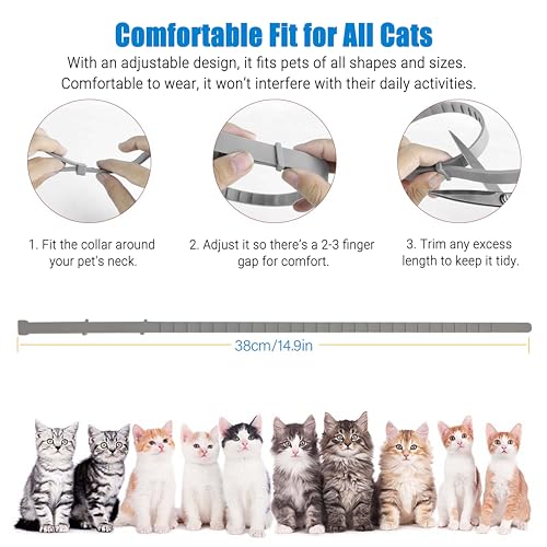 2er Set Katzenhalsbänder, Wasserdicht und Verstellbar, 39cm lang, Mit Natürlichen Ätherischen Ölen, Bietet Komfort und Schutz, Geeignet für Katzen ab 7 Wochen