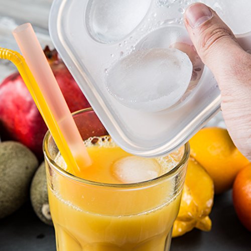 Levivo Stampo per Cubetti di Ghiaccio, in