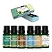 Woodsy Essential Oils Set, ESSLUX 100% Natural Aromatherapy Essential Oils Gift Set for Diffuser, Cedarwood, Patchouli, Sandalwood, Frankincense, Cypress, Nutmeg Oil, 6x10ml