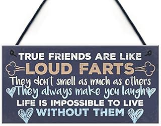 RED OCEAN Funny Best Friend Friendship Plaques Shabby Chic Cute Thank You Birthday Gifts For Her For Him