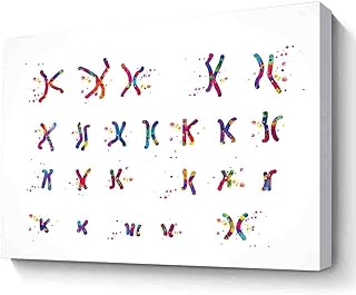 MBARE Watercolor Painting Wall Art,Female Chromosome Down Syndrome Watercolor Print Karyotype St Chromosome Medical Art Wall Art Nurse Gift Laboratory Science Genetic~-12"X16" Canvas Print With Frame