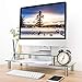 TAVR Multifunction 2 or 1 tier Variable Assembling Monitor Stand / Riser Desktop Shelf Organizers with Height Adjustable for Home Office Clear Tempered Glass,CM2003