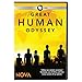 NOVA: Great Human Odyssey DVD