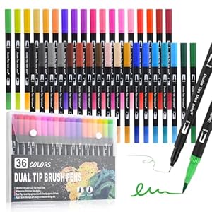 Behiruch 36 Farben Filzstifte, Dual Brush Pen Set, Filzstifte Dicke und Dünne für Erwachsene und Kinder, Wasserfest - Zum Ausmalen, DIY-Bastelprojekte und Zeichnen, Journaling