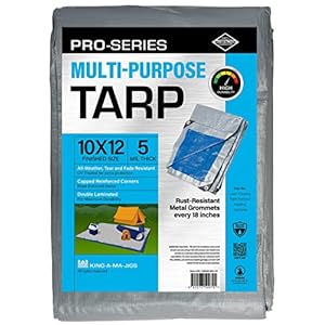 10×12 Ft Tarp, Waterproof Plastic Poly 5 Mil Thick Tarpaulin with Metal Grommets Every 18in – Emergency Rain Shelter, Outdoor Cover and Camping Use – (Reversible, Blue and Silver)