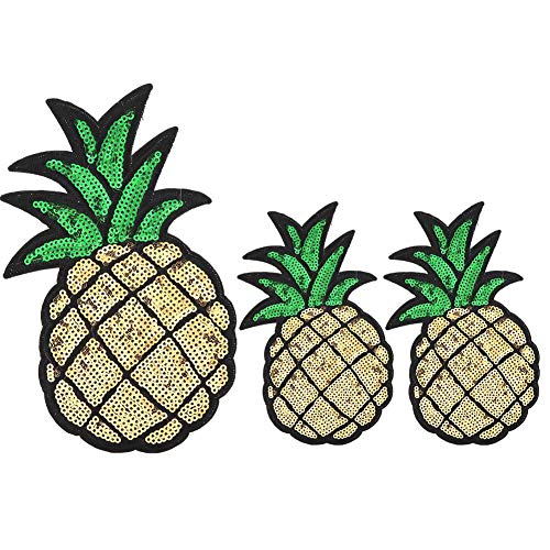 Biitfuu 3Pcs Embroidered Patch Pineapple Sew On/Iron On Patch Applique Bag Clothes Applique Dress Plant Hat Jeans Sewing DIY Decoration