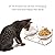 JOELELI Cat Bowls, Double Ceramic Pet Bowls with 15°Tilted Raised Cat Bowls Stand Anti Vomiting Cat Dish Bowls for Food and Water, Perfect for Puppy Cats and Small Dogs(Double Bowls)