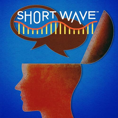 The Mystery Of Inner Monologues Podcast Por  capa