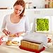 Bread Box -Dual Use Bread Holder/Airtight Plastic Food Storage Container for Dry or Fresh Foods -2 in 1 Bread Bin- Loaf Cake Keeper/Baked Goods -Keeps Bread Fresh- Red and Clear Cover - (Red)
