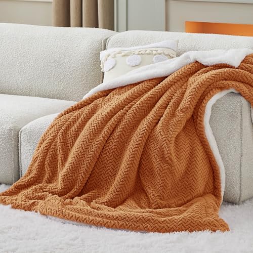 Bedsure Sherpa Throw Blanket for Couch - Herringbone Fleece Thick