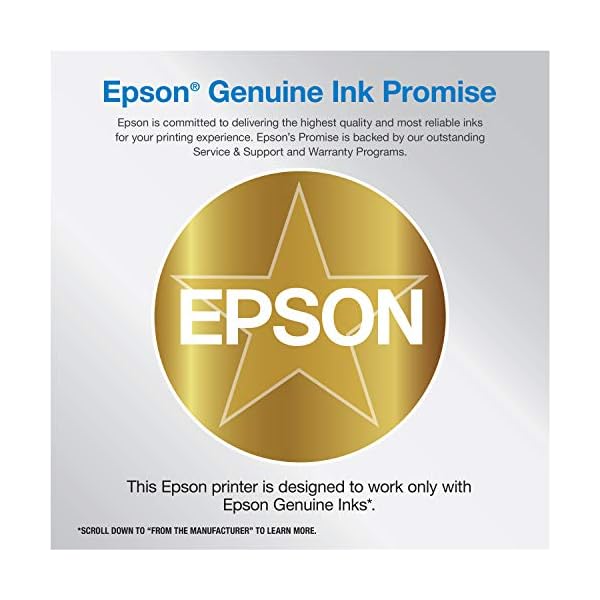 Epson Expression Home XP-4100 Wireless Color Printer with Scanner and Copier - Image 3