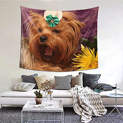  [NV[eA ^yXg[ Ǌ| EH[A[g ړI   wi uPbg rO[ Q  z[ p[eB[̑ (60X50 Inchj 150x100cm