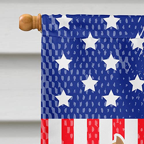 Staffordshire Bull Terrier drapeau de maison pour afficher fièrement votre amour canin