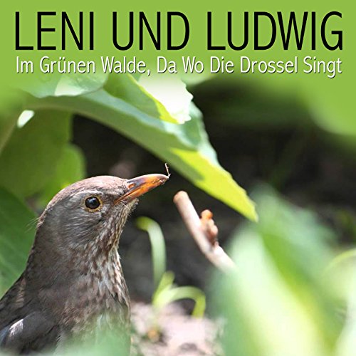 Im Grünen Wald Dort Wo Die Drossel Singt Wikipedia Spiele Im Grünen Walde, Da Wo Die Drossel Singt von Leni Und Ludwig auf