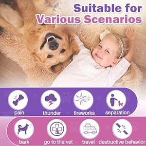 Hemp-Calming-Chews-for-Dogs-150PCs-Dog-Calming-Treats-and-Bites-with-Hemp-Oil-Anxiety-and-Stress-Relief-for-Dogs-Puppy-Melatonin-Sleep-Aid-Calm-Dog-Noise-Thunder-Barking-Separation-Chewing - Cucciolini Doodles   Hemp-Calming-Chews-for-Dogs-150PCs-Dog-Calming-Treats-and-Bites-with-Hemp-Oil-Anxiety-and-Stress-Relief-for-Dogs-Puppy-Melatonin-Sleep-Aid-Calm-Dog-Noise-Thunder-Barking-Separation-Chewing