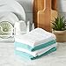 DII Basic Chef Collection, Assorted Terry Kitchen Towel Set, Dishtowel Set, Aqua, 4 Piece
