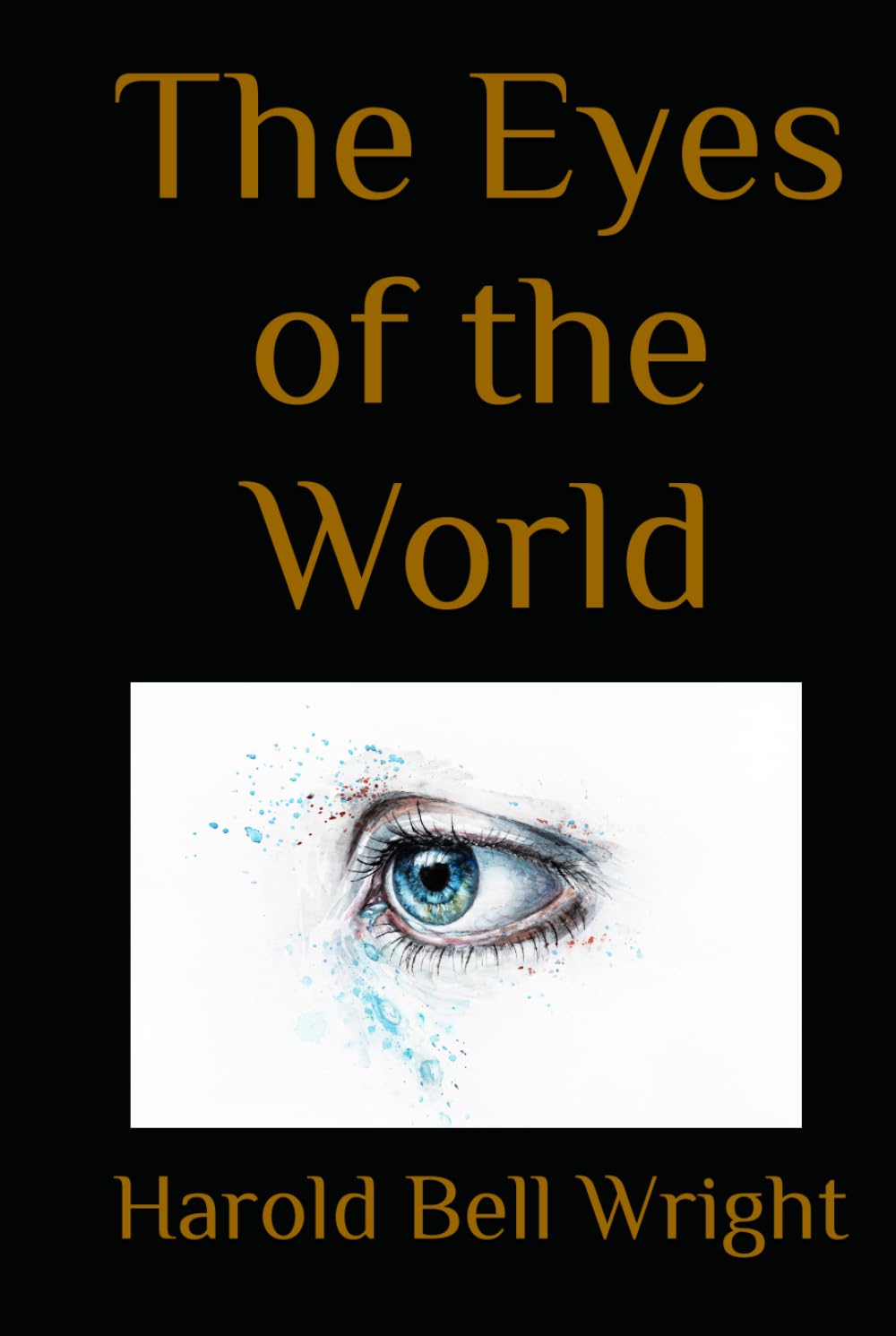 The Eyes of the World: A Novel of Ambition, Reputation, and Personal Conflict in Early Twentieth-Century America