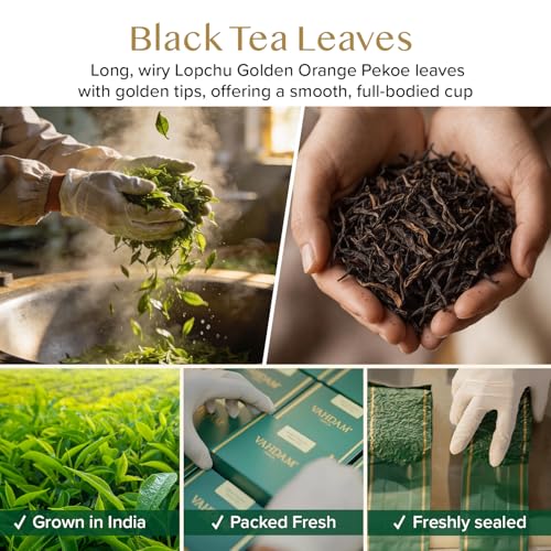 Image of VAHDAM Second Lopchu Golden Orange Pekoe Loose Black Tea (3.53oz|50+ Cups)