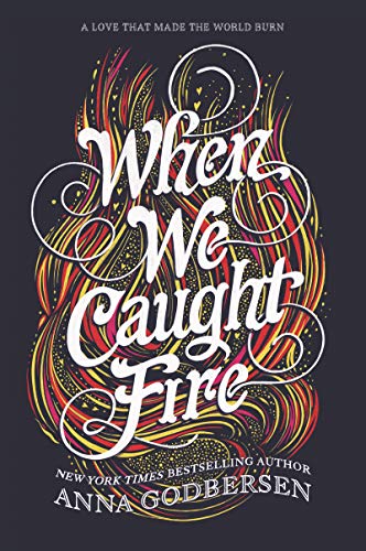 When We Caught Fire: A Sweeping YA Love Triangle Romance in 1871 Chicago