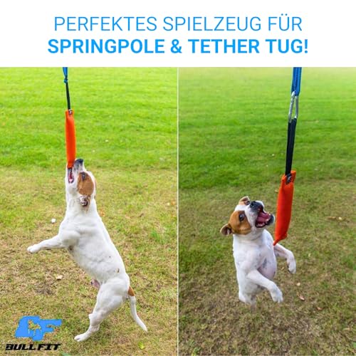 Bull Fit Baumwolle-Nylon Beisswurst für Hunde, 30 cm mit Handschlaufe - Sehr Robustes Hundespielzeug für Training IGP IPO Schutzhund, Hundesport, Tauziehen und Zerrspiele mit Hund