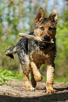 German Shepherd Dog Pup Puppy Doggie Notebook Bullet Journal Diary Composition Book Notepad - Get a Stick: Cute Animal Pet Owner Composition Book with ... Ruled Lined Paper Pages in 6” x 9” Inch