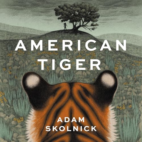 『American Tiger』のカバーアート