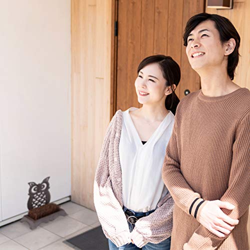 Relaxdays, Marrone Spazzola per Scarpe, in Ghisa