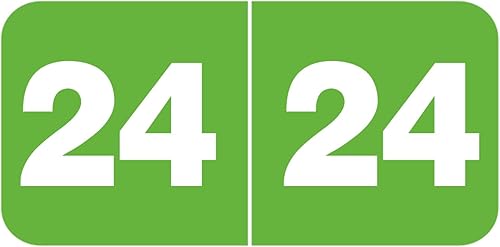 Calcomanías para el año 2024, etiquetas rectangulares de colores de 1 x 2 pulgadas, etiquetas autoadhesivas para carpetas de archivos de pestañas