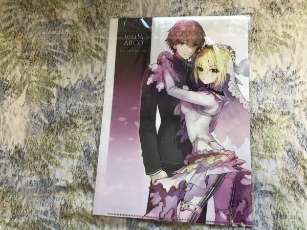 Amazon.co.jp: d249クリアファイル FGO Fate Grand Order 画集 愛