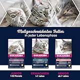 Eukanuba Katzenfutter trocken Huhn - Premium Trockenfutter mit hohem Fleischanteil für erwachsene Katzen ab 1 Jahr, 10 kg