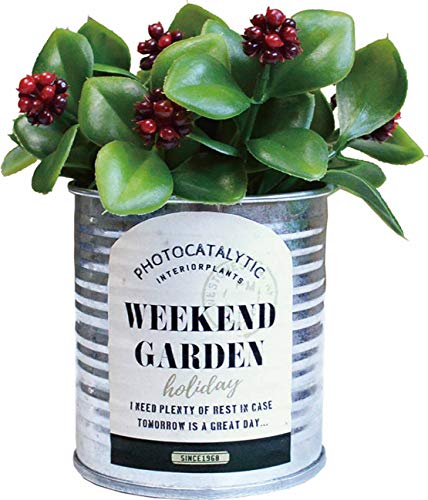 P[ACWp CeAO[ G} ~j  ϗtA }x[ a12×13-14cm (Mtg{bNX) TIN