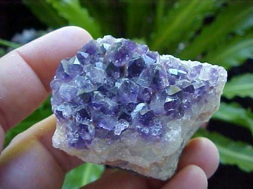 Zs4708 Gemqz Amethyst Crystal Cluster From Artigas !!!!