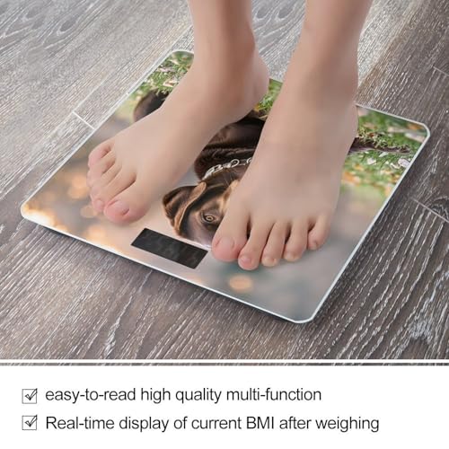 Báscula digital de baño con vidrio templado y LCD miniatura 5