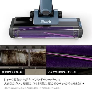 シャークスキン 大型マコシャーク 3年育成 抜き苗／生育良好 シャークスキン 大型マコシャーク 3年育成 抜き苗／生育良好