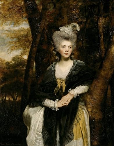 Toile Art Imprimé Lady Frances Finch par Joshua Reynolds - Décoration Murale Salon 60x90cm