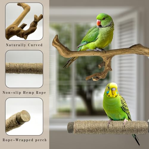 Image of 6 Pcs Medium Bird Perch Set, Natural Wood Bird Perches, Parrot Cage Toys for Cockatiels, Conures, Budgies, and Parakeets, Cage Accessories for Small and Medium Parrots