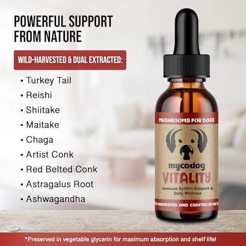 Mushroom Blend For Dogs With Cancer