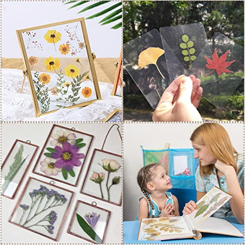 Hzmuma Large Flower Press Kit, 10 Layers 11.8 X 8.3 Inches Diy Wood Flower Leaf Plant Press Kit Flower Pressing Kit For Adults #TOP6