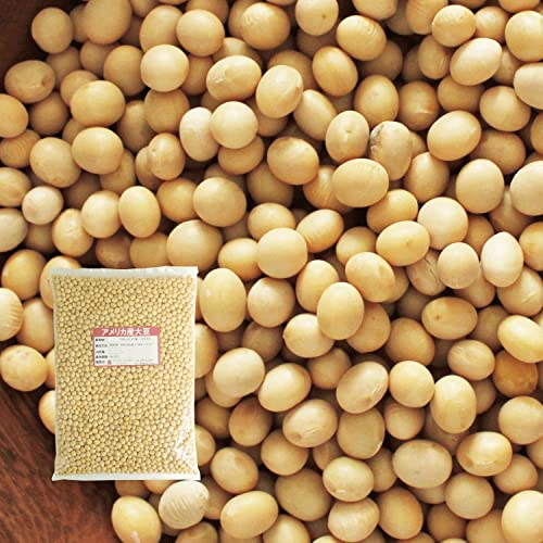 AJY 哤 (1kg) ڑ哤 ̉ `qg CfBAiY 