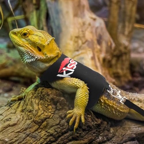 Image of PETKNOWS 2 Pack Bearded Dragon Harness and Leash Set, Escape Proof Adjustable Lizard Reptiles Harness Cute Lizard Reptile Small Animal Harness Clothes with 5FT Leash for Walking Outdoor