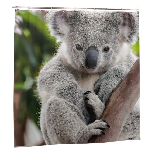 Rideau de douche koala en polyester premium avec 12 œillets inoxydables durables - 3