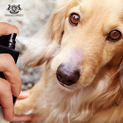 Vitamin & Essential Oil Sunscreen and Skin Conditioner For Dogs - 8 FL OZ (236 mL) - Thumbnail 4