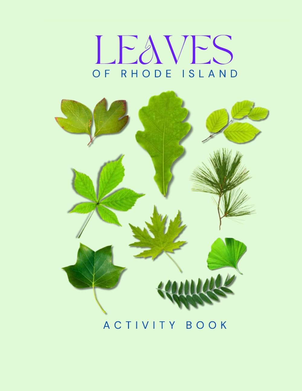 Leaves of Rhode Island: Activity Book: Rhode Island Tree & Leaf Identification Guide - Educational Nature Activity Book with State Parks Map & ... (Rhode Island Nature Explorer Series)
