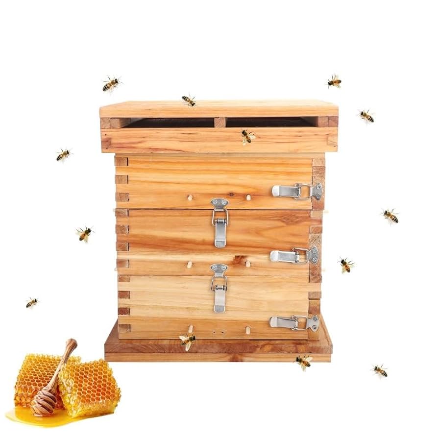 Amazon | 3/5階 蜜蜂巣箱 ミツバチ 巣箱 重箱式 養蜂箱 杉材 蜂