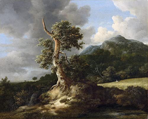 Peinture pour décoration salon haut de gamme reproduction sur toile 60x90cm Ruisdael