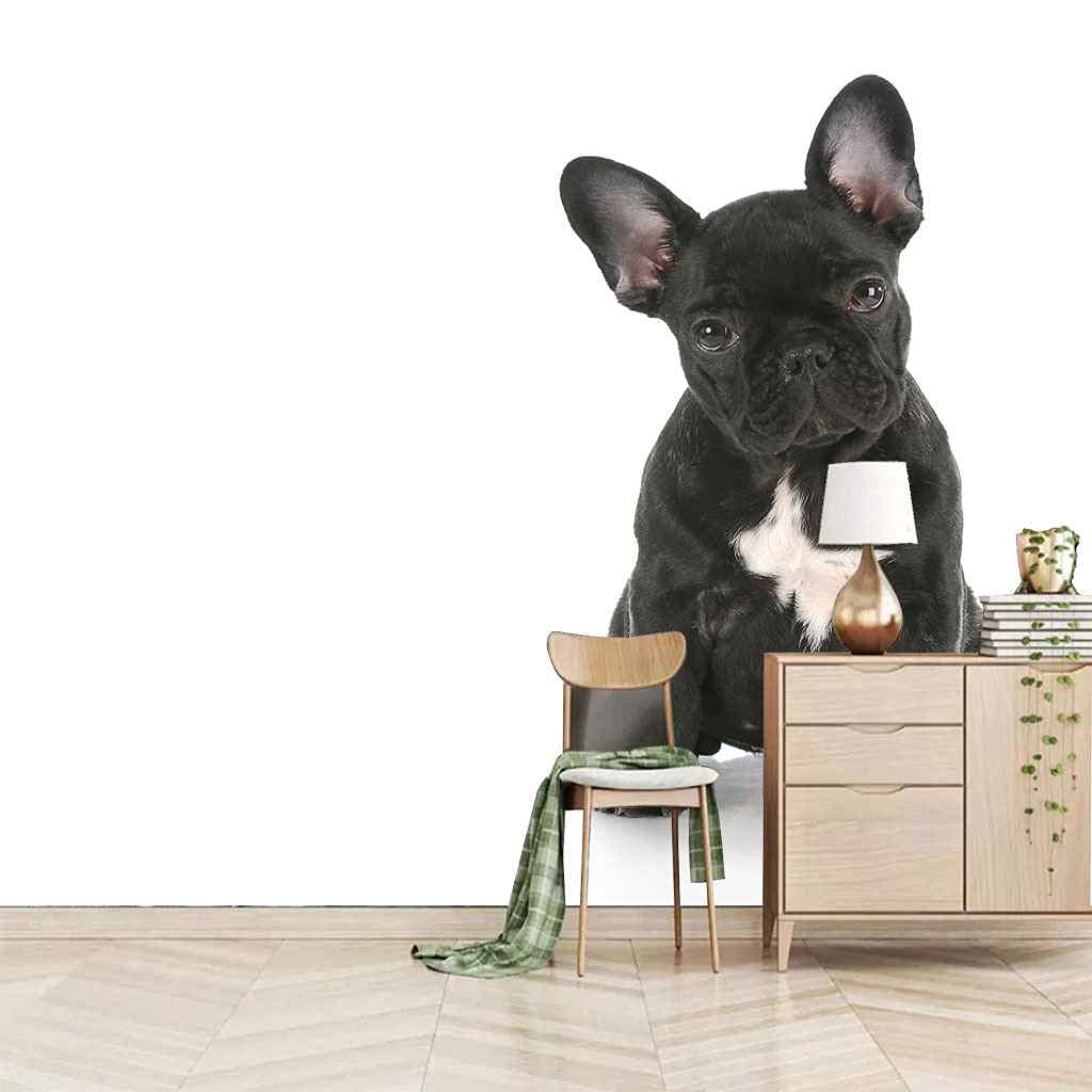 Papier peint intissé chiot noir : pose facile sans colle pour salon