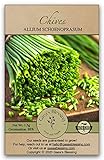 Gaea's Blessing Seeds - Chives Seeds (1000 Seeds) Non-GMO Seeds with Easy to Follow Planting Instructions - Open-Pollinated Heirloom 88% Germination Rate 1.5g (Single Packet)