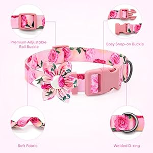 Dog-Collar-Floral-Girl-Pink-Dog-Collar-with-Rose-Flower-Bow-Tie-Dog-Collar-for-Cute-Female-Cats-Dogs-Spring-Summer-Season-Dog-Collar-for-Small-Medium-Large-Dogs-for-Your-Furbaby - Cucciolini Doodles Dog-Collar-Floral-Girl-Pink-Dog-Collar-with-Rose-Flower-Bow-Tie-Dog-Collar-for-Cute-Female-Cats-Dogs-Spring-Summer-Season-Dog-Collar-for-Small-Medium-Large-Dogs-for-Your-Furbaby
